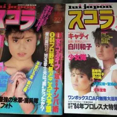 Item thumbnail for item 5fc72158-70d1-4c61-af8c-f41a8f79f5ac