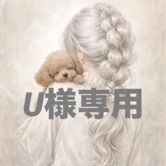 U様 リクエスト 4点 まとめ商品No.4390