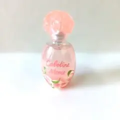 グレ　カボティーヌ　モモ　オードトワレ　50mlのサムネイル