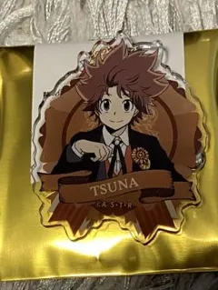 家庭教師ヒットマンREBORN! 描き下ろしアクリル缶バッジ　沢田綱吉　ツナ