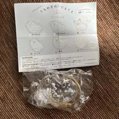 うちの子のけだまだま 犬 プードル