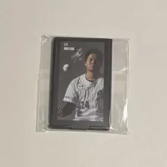 千葉ロッテマリーンズ　東妻勇輔　ミラー　鏡