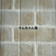 りんちゃん様　サンリオ　シナモロール　子供用立体不織布マスク　使い捨て　100枚