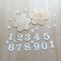 karina様 リクエスト 2点 まとめ商品