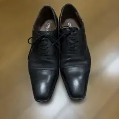 Item thumbnail for item 1f4a504b-e38c-4811-b942-f2751e22fe8a