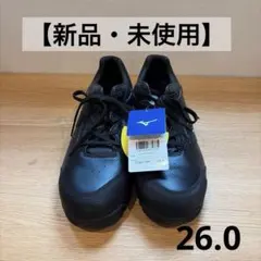 新品未使用MIZUNO 安全靴 JSAA規格合格品 28cm - メルカリ