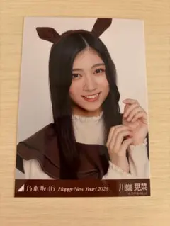 Item thumbnail for item 44ef5373-2af8-4dd9-99c3-0e9295f0db67