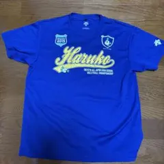DESCENTE 春高バレー 2015 Tシャツ ブルーのサムネイル