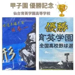 Item thumbnail for item 2582e60c-5d53-47b7-a11c-58bb228afe2c