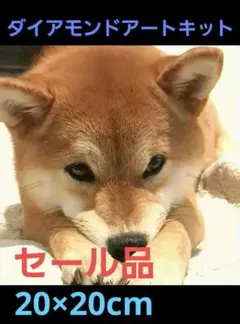 セール品●☆柴犬 ダイヤモンドアートキット 20×20cm