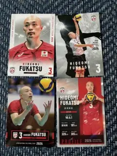 深津英臣 バレーボール 日本代表 トレーディングカード トレカ