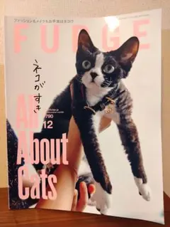 FUDGE 2025年12月号 All About Cats