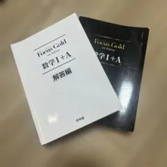 FocusGold 数学1+A 第4版