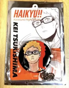 ハイキュー 缶バッジ＆特製ホルダー 烏野 月島蛍