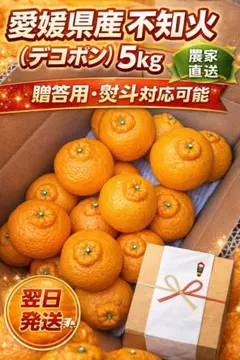 感謝SALE！家庭用 不知火（デコポン）5kg 愛媛県産