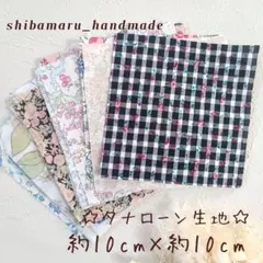 Item thumbnail for item 68f4cc64-fde5-4fa7-8b34-0b39ef0d9711