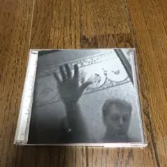 DRIVING RAIN Paul McCartney ドライヴィング・レイン