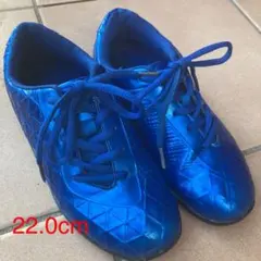 シューズ22.0cm