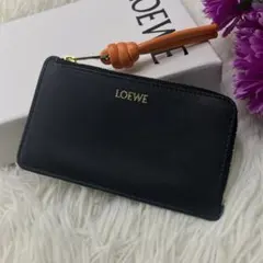 極美品✨ロエベ　現行　フラグメントケース　ノットコインカードホルダー