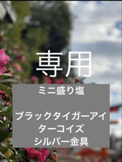 Item thumbnail for item aa4bca5e-3d14-4cf0-abed-23cb74e7587b