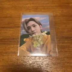 SEVENTEEN sector17 ジョシュア トレカ