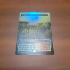 MTG SLD 《夏の帳/Veil of Summer》英語版旧枠foil - メルカリ