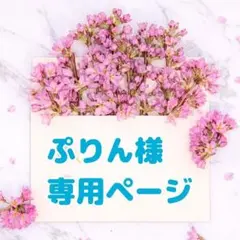 【ぷりん様専用】amiibo カード