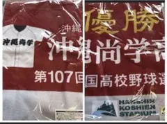 本気の夏 2018高校野球中継 100回 甲子園への道 熱闘甲子園 ねった