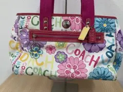 COACH デイジー　フローラル　トートバッグ　F14880 マルチカラー