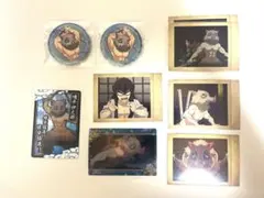 鬼滅の刃 嘴平伊之助 缶バッジ ぱしゃこれ 回顧カード