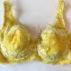 ブラジャー　ショーツ　kiya BISBIS E65