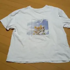 【匿名配送】シューラルー　Tシャツ　Ｌ