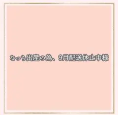 専用出品
