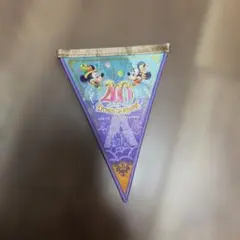 東京ディズニーリゾート 40th タペストリー - メルカリ