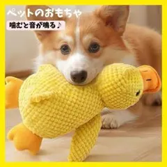 Item thumbnail for item e6e08d2a-4828-4139-a7fb-2e8db0b24a29