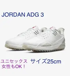 ナイキ ジョーダン　NIKE JORDAN ADG3のサムネイル