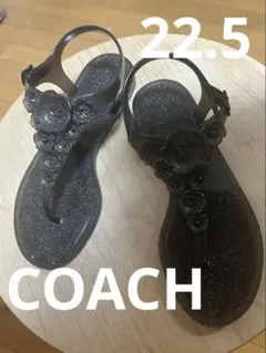 【正規品】Coach フラットサンダル　35.5 22.5cmのサムネイル