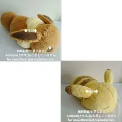 │★ポケモン ぬいぐるみ