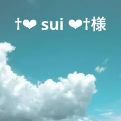 †❤︎ sui ❤︎†様 リクエスト 2点 まとめ商品