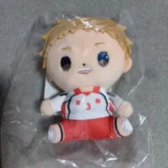ハイキュー!! 音駒高校 夜久 もっちび ぬいぐるみ マスコット