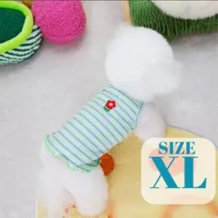 犬服 ボーダー タンクトップ 紫 緑 花ワッペン 可愛い XLサイズ グリーン