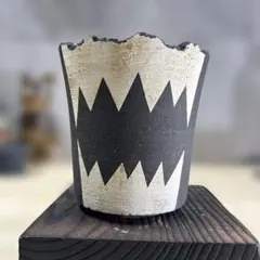 2026年最新】パキプス 鉢の人気アイテム - メルカリ