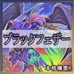 遊戯王 ブラックフェザー デッキ 本格構築 メイン40枚＋EX15枚