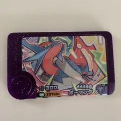 ポケモン　フレンダ　ピック　スーパートレジャー　タッグわざだい2だんボーマンダ