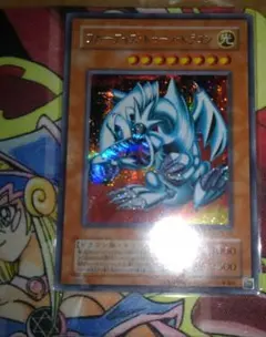 遊戯王 ブルーアイズ・トゥーン・ドラゴン　シークレットレア
