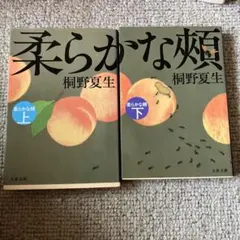 桐野夏生 柔らかな頬 上下巻セット 文春文庫