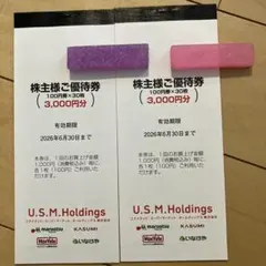 USMH ユナイテッドスーパーマーケット 株主優待券 6000円分のサムネイル