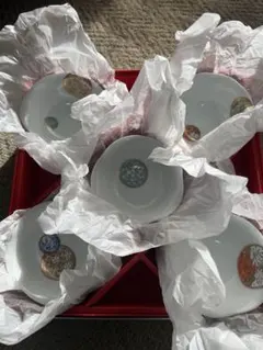 深川製磁 寿赤絵 小皿揃