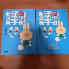 オールカラー学習漢字新辞典