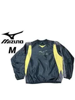 Item thumbnail for item 3abcbaf2-c230-4e34-b3b5-3ff038cdab35